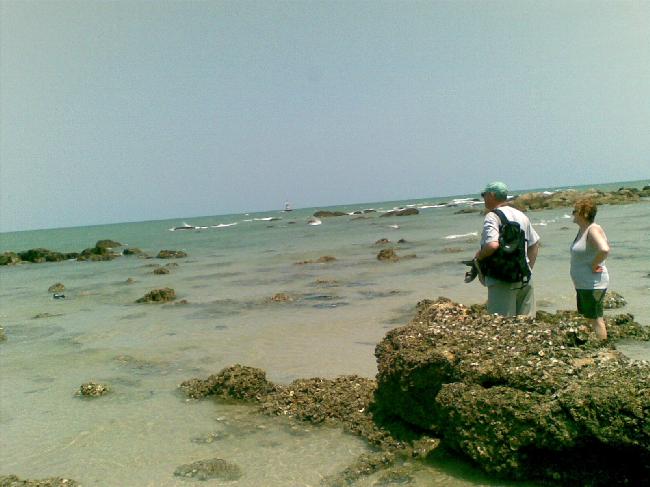 Name:  BmuMNU703369-02[1].jpg
Views: 66
Size:  43.8 KB