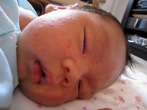 Name:  Resize of Resize of Picture 096.jpg
Views: 145
Size:  35.4 KB