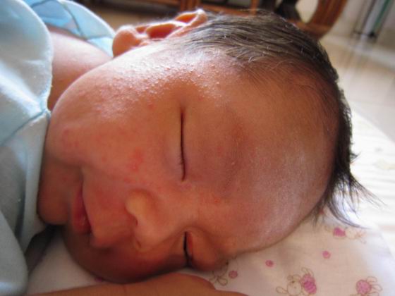 Name:  Resize of Resize of Picture 091.jpg
Views: 171
Size:  34.8 KB