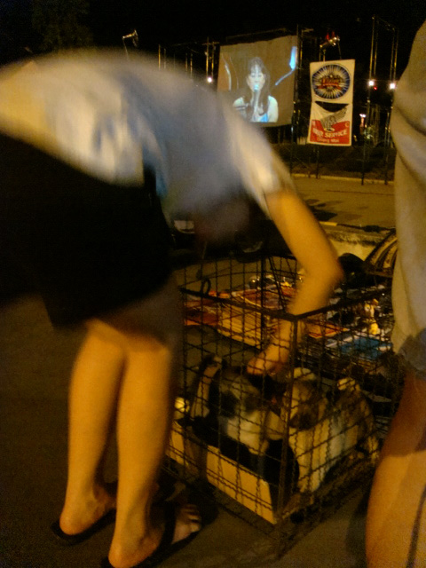 Name:  DSC06828.JPG
Views: 405
Size:  135.5 KB