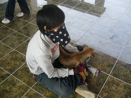 Name:  P1030856.JPG
Views: 300
Size:  60.4 KB