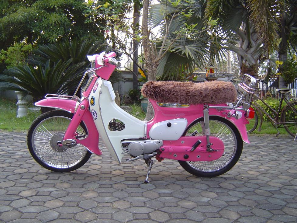 Name:  DSC06930.jpg
Views: 1534
Size:  157.5 KB