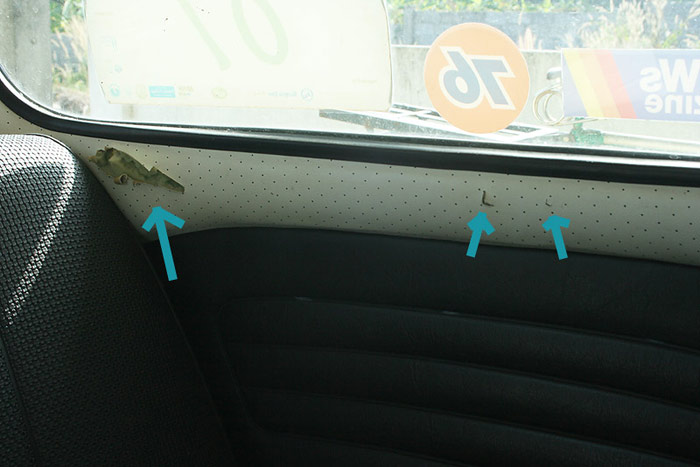 Name:  IMG_0805.jpg
Views: 1004
Size:  59.3 KB