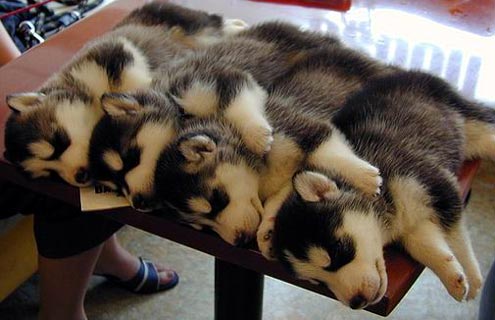 Name:  A72726.jpg
Views: 225
Size:  30.7 KB