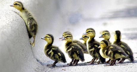 Name:  A72725.jpg
Views: 215
Size:  22.5 KB