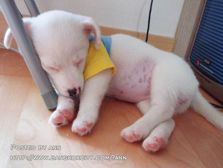 Name:  A73639.jpg
Views: 222
Size:  75.8 KB