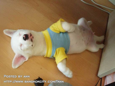 Name:  A73642.jpg
Views: 200
Size:  72.2 KB