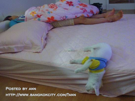 Name:  A73643.jpg
Views: 189
Size:  76.8 KB