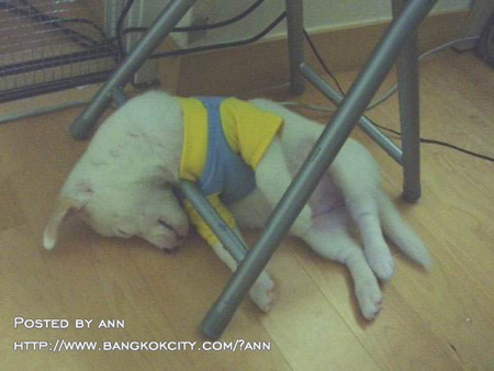 Name:  A73644.jpg
Views: 183
Size:  74.8 KB