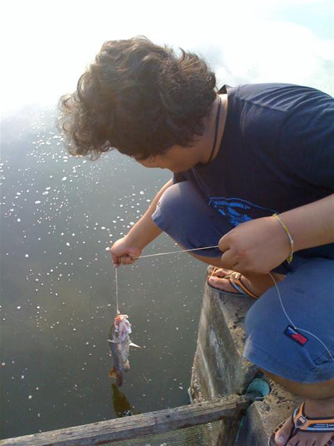 Name:  IMG_1381 (Small).jpg
Views: 291
Size:  55.5 KB