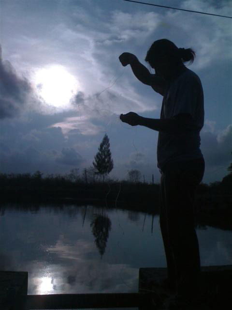 Name:  IMG_1383 (Small).jpg
Views: 281
Size:  35.1 KB