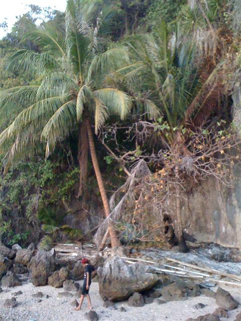 Name:  IMG_1494 (Small).jpg
Views: 278
Size:  102.9 KB