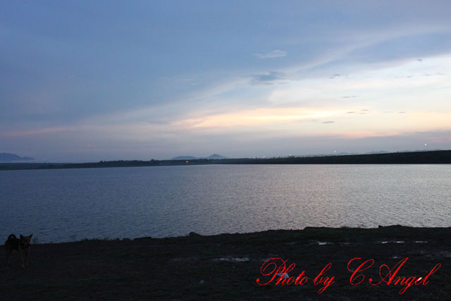 Name:  50.jpg
Views: 164
Size:  65.5 KB