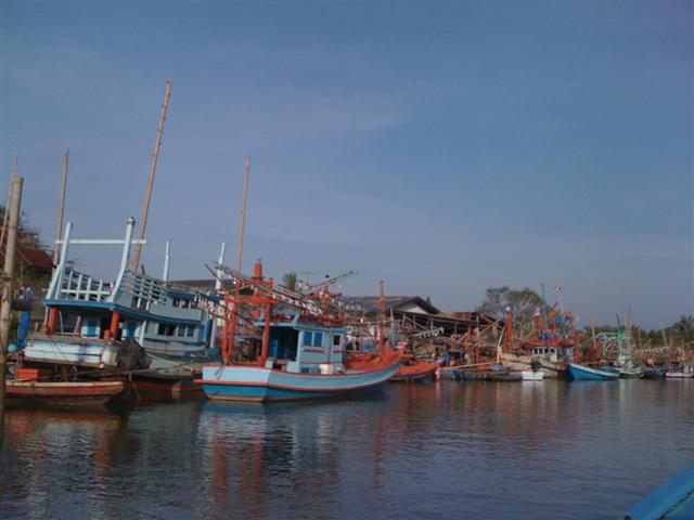 Name:  IMG_1527 (Small).jpg
Views: 159
Size:  39.6 KB