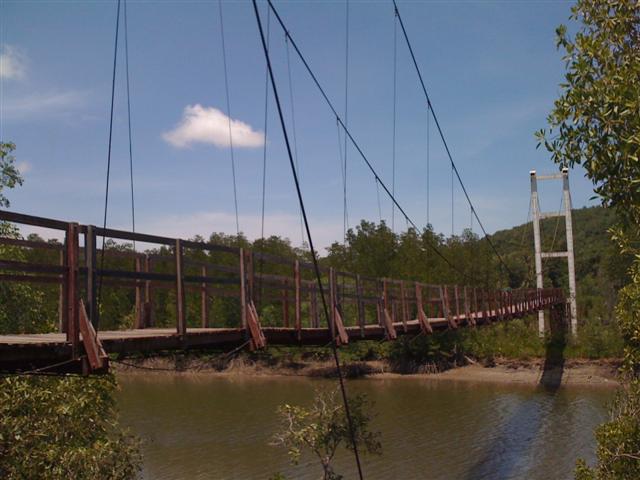Name:  IMG_1571 (Small).jpg
Views: 164
Size:  52.4 KB