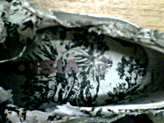 Name:  IMG0054A.jpg
Views: 1891
Size:  41.6 KB