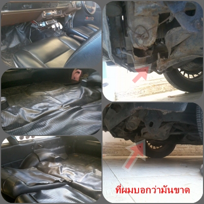 Name:  cats.jpg
Views: 285
Size:  114.8 KB