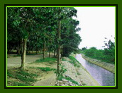 Name:  SDC11360.jpg
Views: 98
Size:  42.3 KB