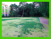 Name:  SDC11379.jpg
Views: 99
Size:  43.4 KB
