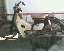 Name:  IMG0006A.jpg
Views: 58
Size:  5.2 KB