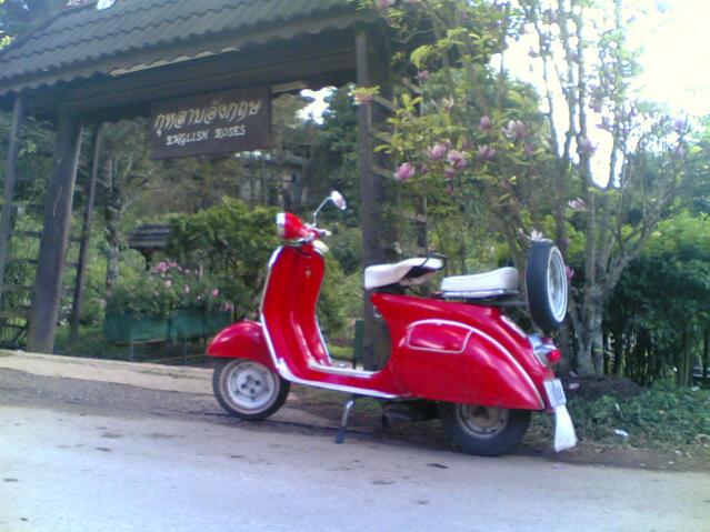 Name:  Image(966).psd.jpg
Views: 217
Size:  51.1 KB