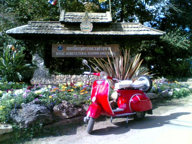 Name:  Image(969).psd.jpg
Views: 219
Size:  74.9 KB