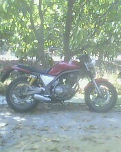 Name:  sd card 010.jpg
Views: 837
Size:  17.0 KB