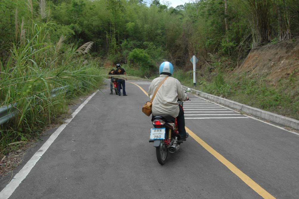 Name:  DSC_2882.jpg
Views: 457
Size:  113.8 KB