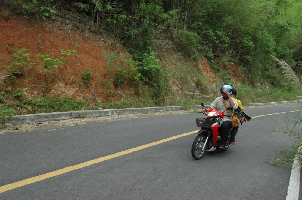 Name:  DSC_2884.jpg
Views: 433
Size:  116.5 KB