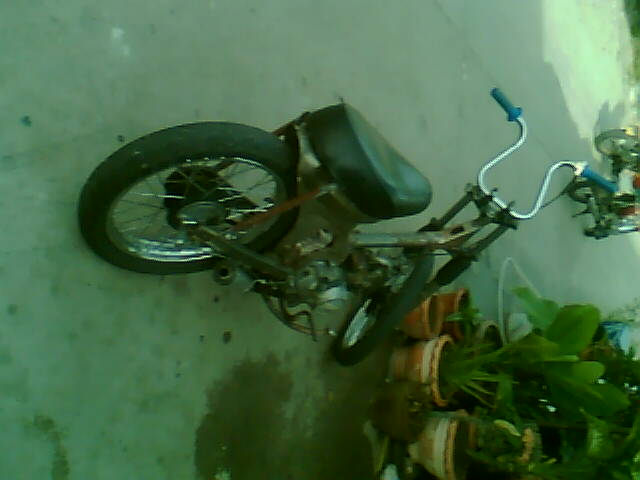 Name:  Image(1122).jpg
Views: 166
Size:  28.6 KB