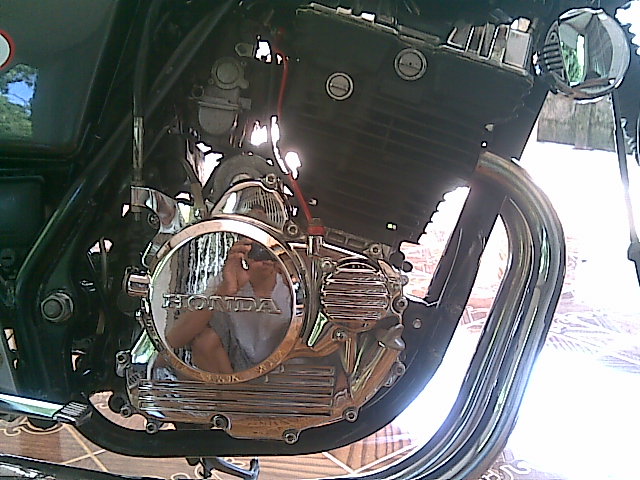 Name:  06062010(019).jpg
Views: 421
Size:  102.2 KB