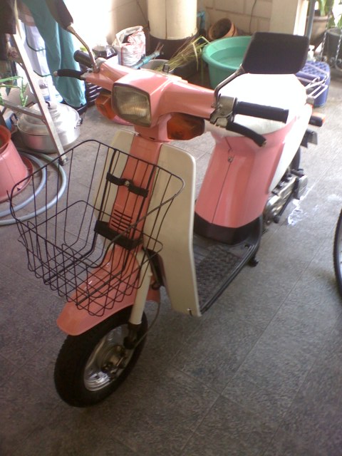 Name:  12-06-10_1551.jpg
Views: 161
Size:  76.5 KB