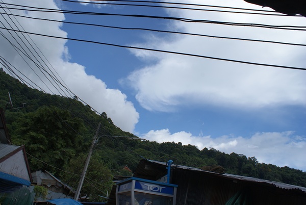 Name:  8.jpg
Views: 438
Size:  111.5 KB