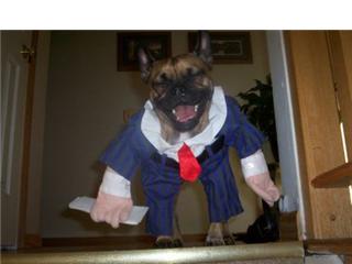 Name:  5.jpg
Views: 119
Size:  11.0 KB