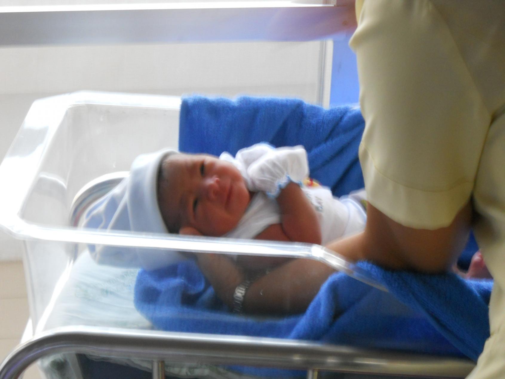 Name:  DSCN0060.jpg
Views: 99
Size:  135.1 KB