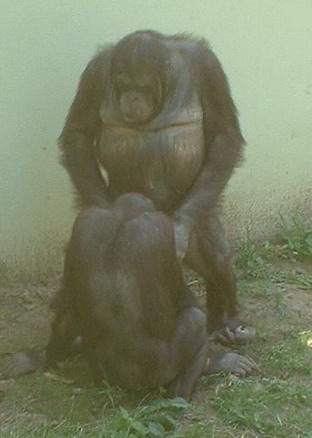 Name:  un_DSCF00851.jpg
Views: 573
Size:  33.2 KB