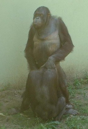 Name:  un_DSCF0086.jpg
Views: 544
Size:  28.4 KB