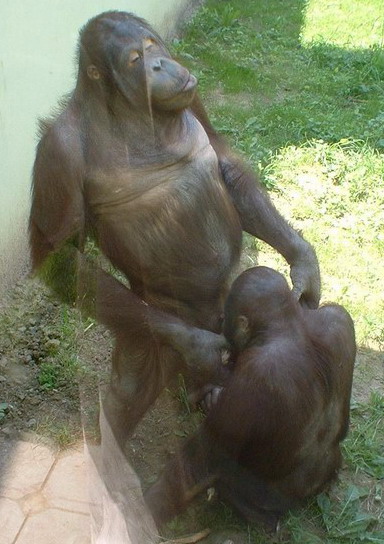 Name:  un_DSCF0088.jpg
Views: 466
Size:  70.9 KB