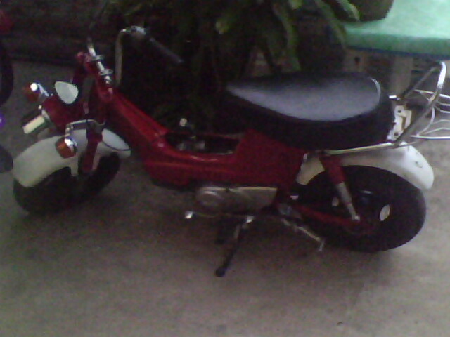 Name:  IMG0939A.jpg
Views: 591
Size:  57.4 KB