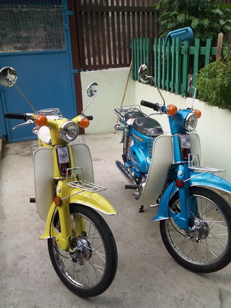 Name:  p8310351n1.jpg
Views: 1302
Size:  85.3 KB