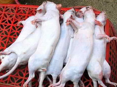 Name:  20031116211922.jpg
Views: 788
Size:  57.5 KB