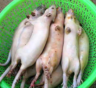 Name:  20031116212114.jpg
Views: 219
Size:  57.8 KB