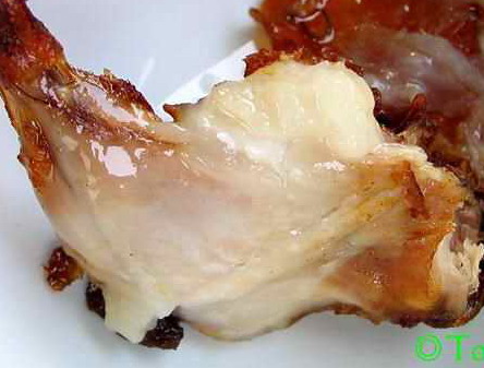 Name:  20031116215931.jpg
Views: 192
Size:  42.4 KB