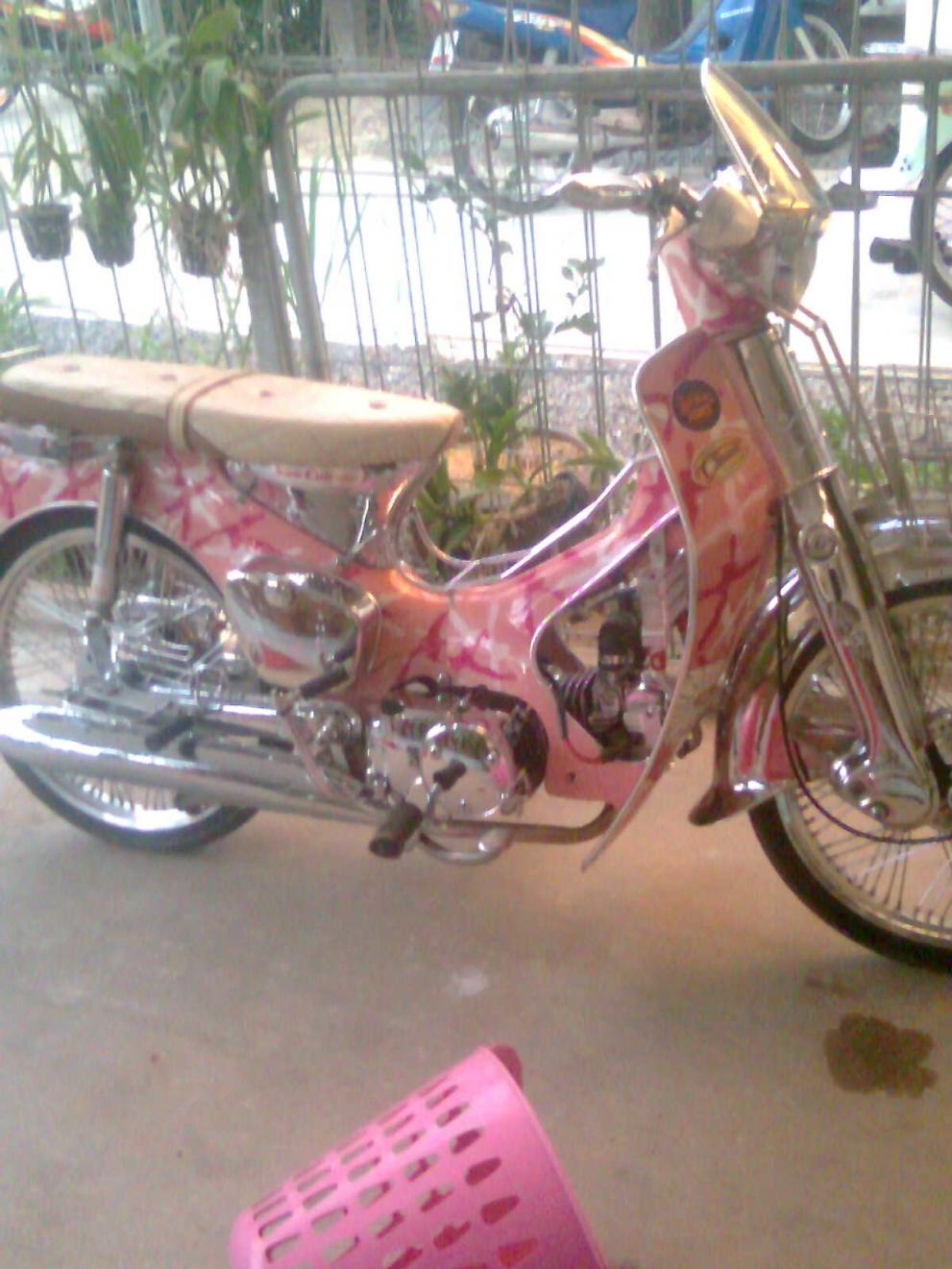 Name:  %E0%B8%A0%E0%B8%B2%E0%B8%9E0473[1].jpg
Views: 618
Size:  137.6 KB