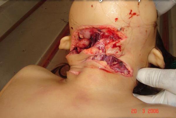 Name:  pic23655.jpg
Views: 490
Size:  46.0 KB