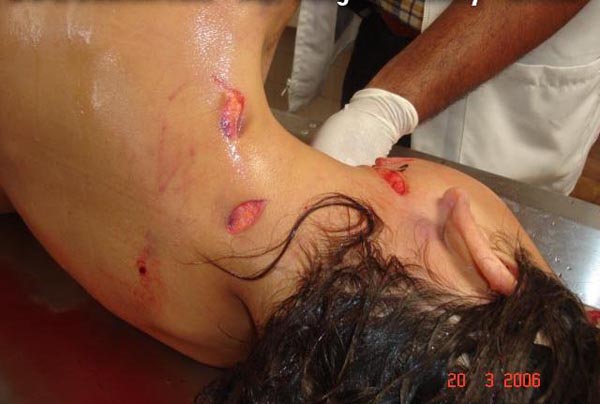 Name:  pic30106.jpg
Views: 488
Size:  55.4 KB
