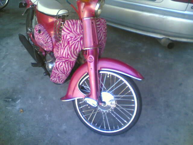 Name:  20062010(002).jpg
Views: 602
Size:  31.0 KB
