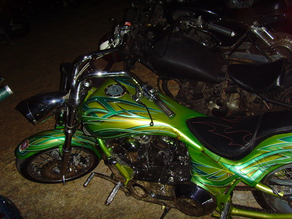 Name:  SNV33349.jpg
Views: 215
Size:  110.1 KB