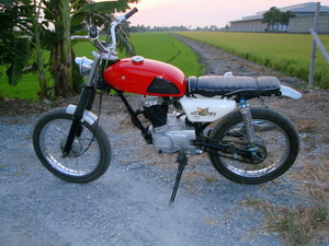 Name:  DSC01841.jpg
Views: 1009
Size:  57.9 KB