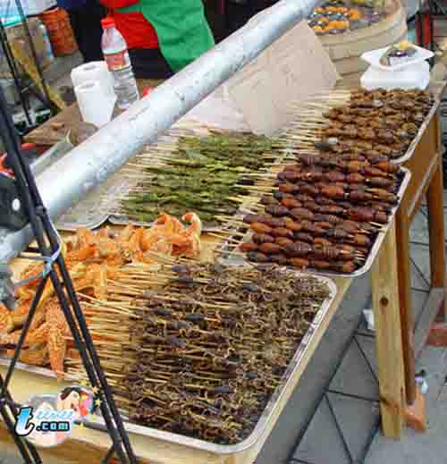 Name:  11618.jpg
Views: 1031
Size:  59.8 KB